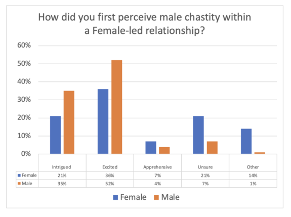 First impressions of male chastity