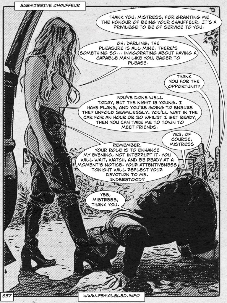 Submissive chauffeur